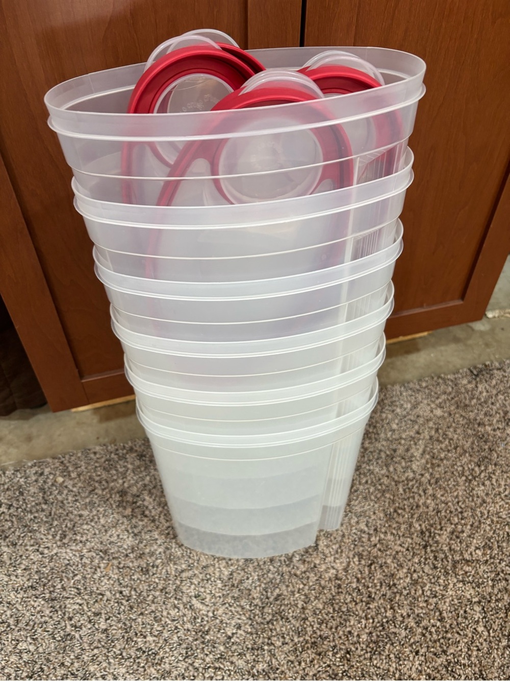 6pk Rubbermaid Flex and Seal Cereal Keeper Food Storage Container 1.5 Gal